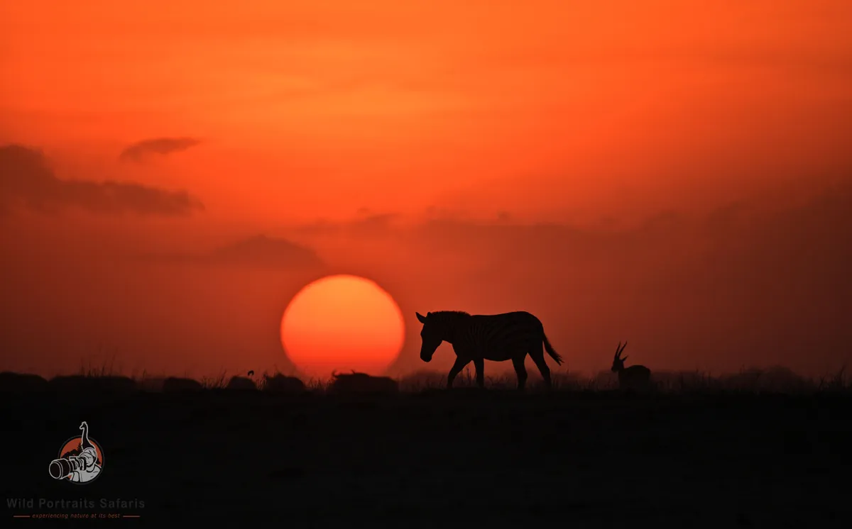 Diwali Kenya safari package 2026
