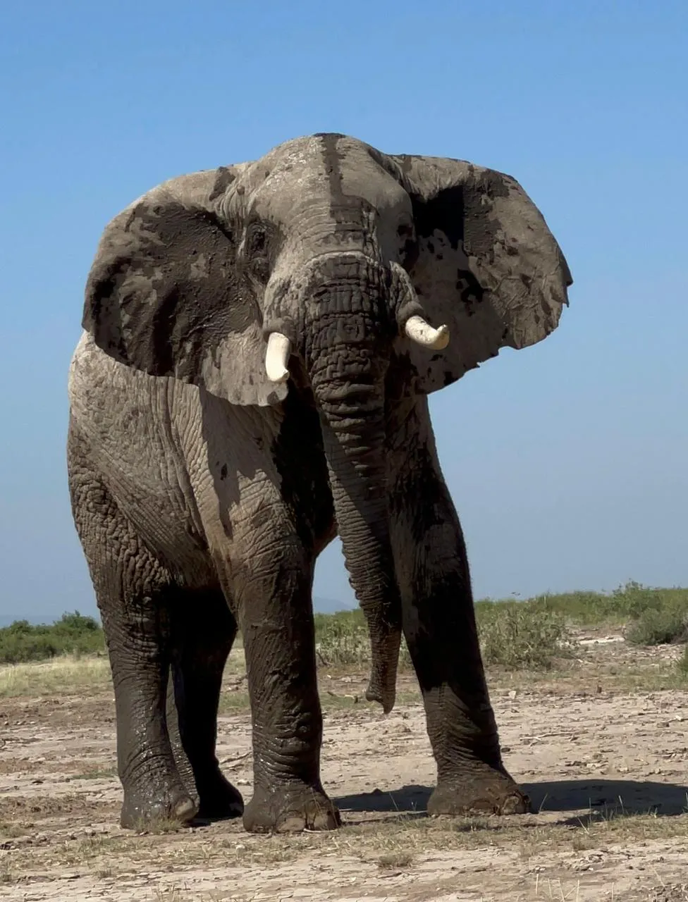 Tarangire National Park | Elephants & Baobabs in Tanzania's Hidden Gem