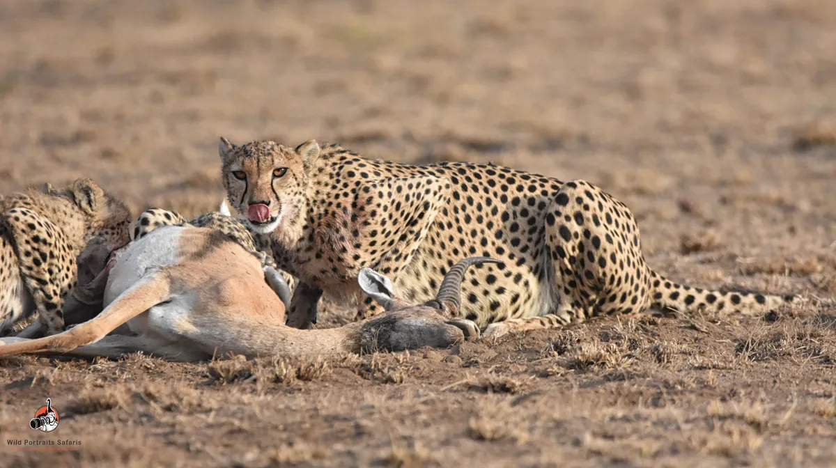 10 Days Kenya Photo Safari Adventure