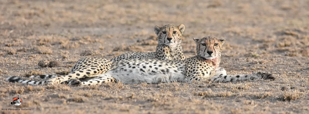 10 Days Enchanting Kenya and Tanzania Adventure Safari