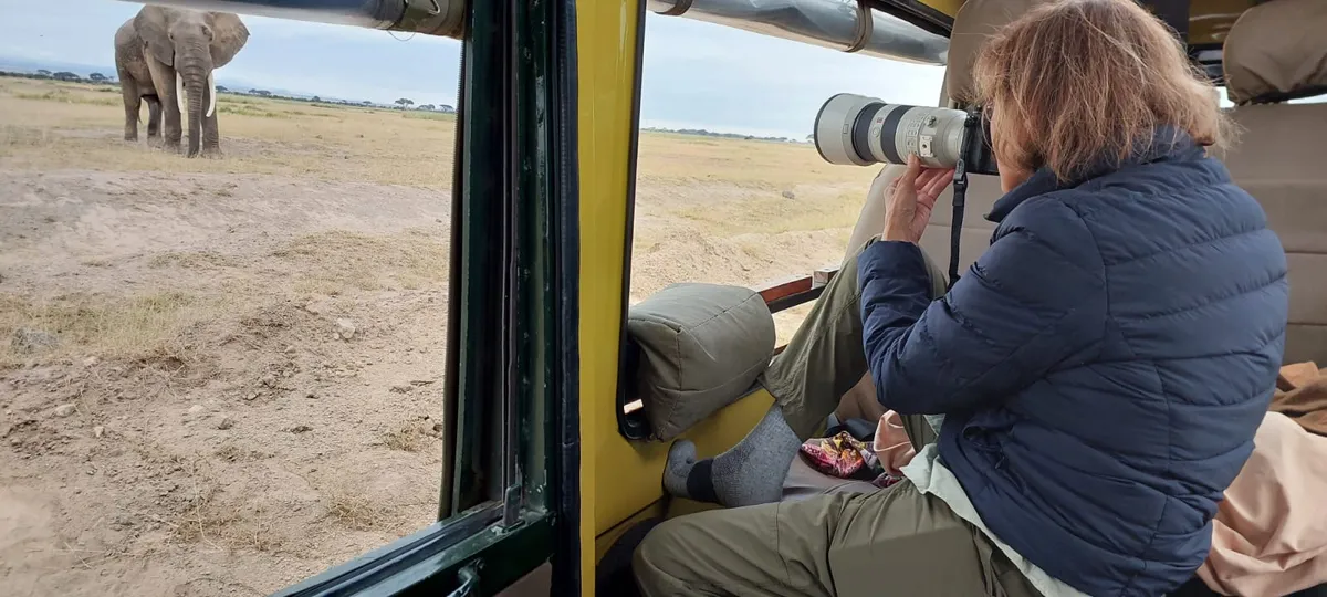 Africa Safari Game Drive Experience