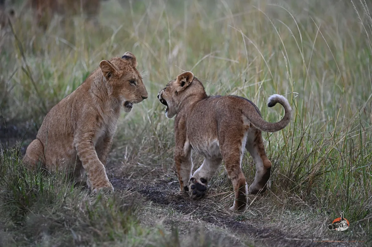 7 Days Kenyan Romantic Getaway Package