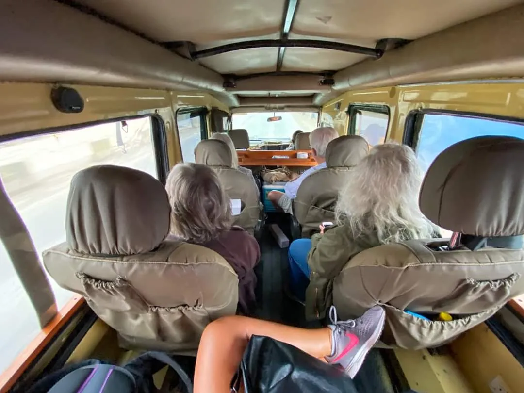 Africa Safari Road Trip | Explore Wild Africa by Road