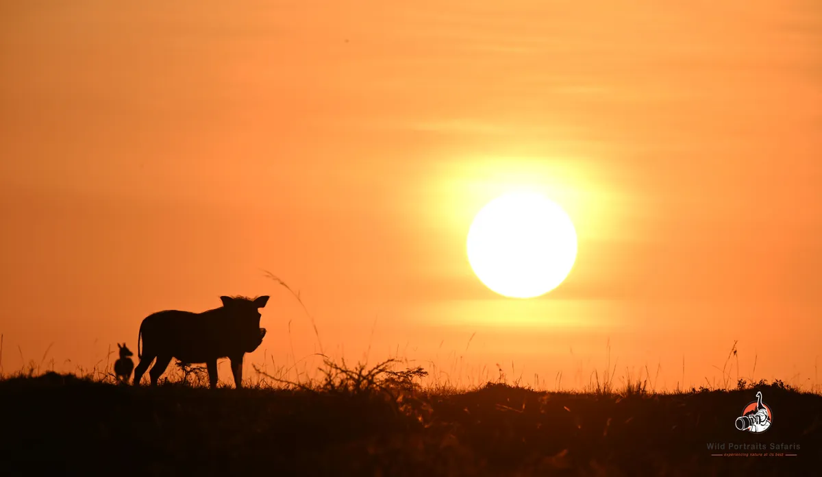 Is 7 Days Enough for a Kenya and Tanzania Safari?